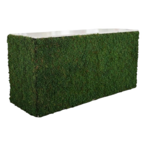 Boxwood Bar